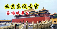 插美女洞洞视频在线观看中国北京-东城古宫旅游风景区